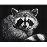 (image for) Draccoon